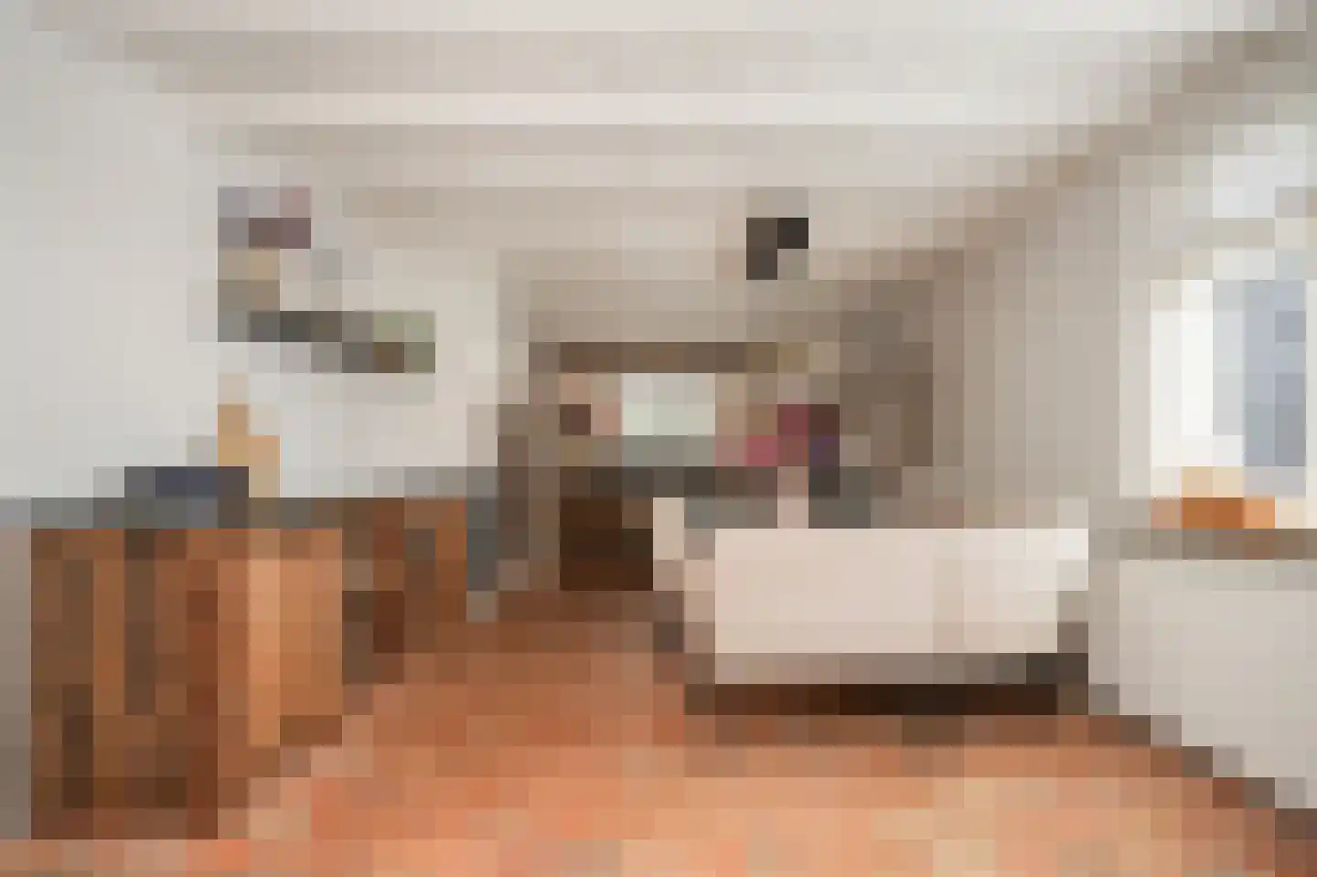Beemstraat 9 Nieuwaal thumbnail 18