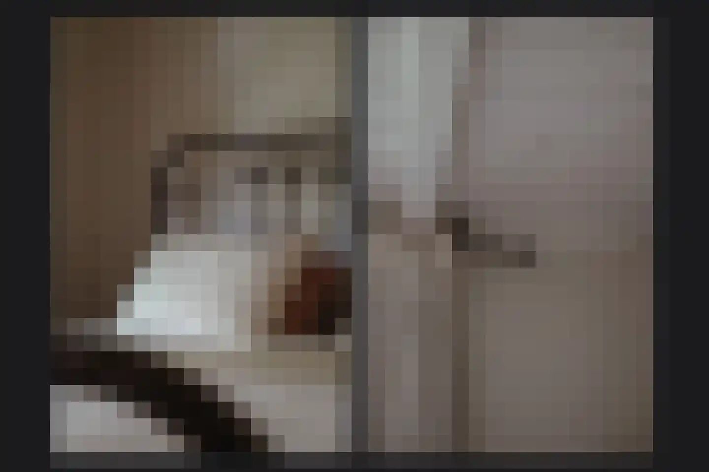Beemstraat 9 Nieuwaal thumbnail 22