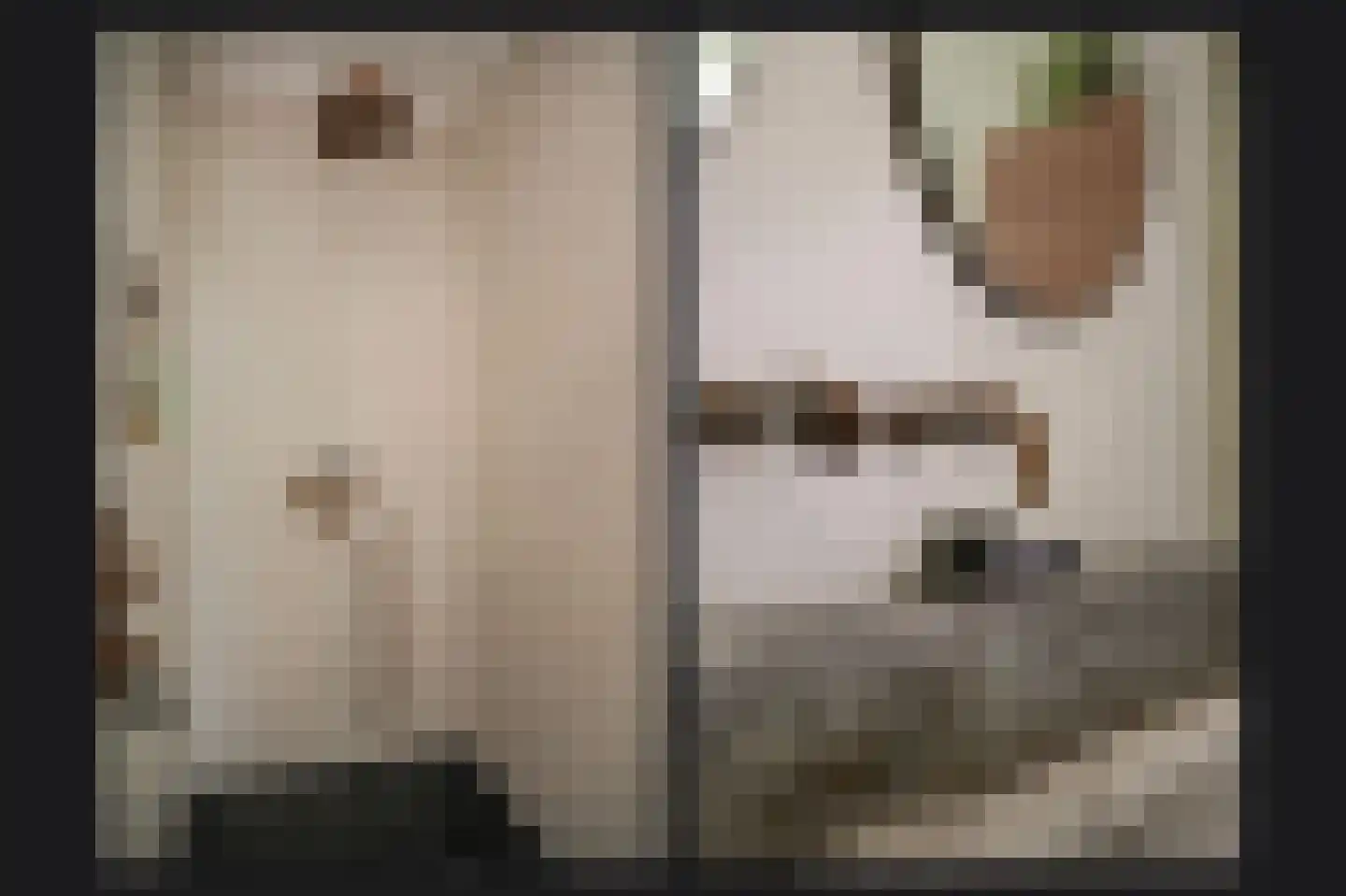 Beemstraat 9 Nieuwaal thumbnail 25