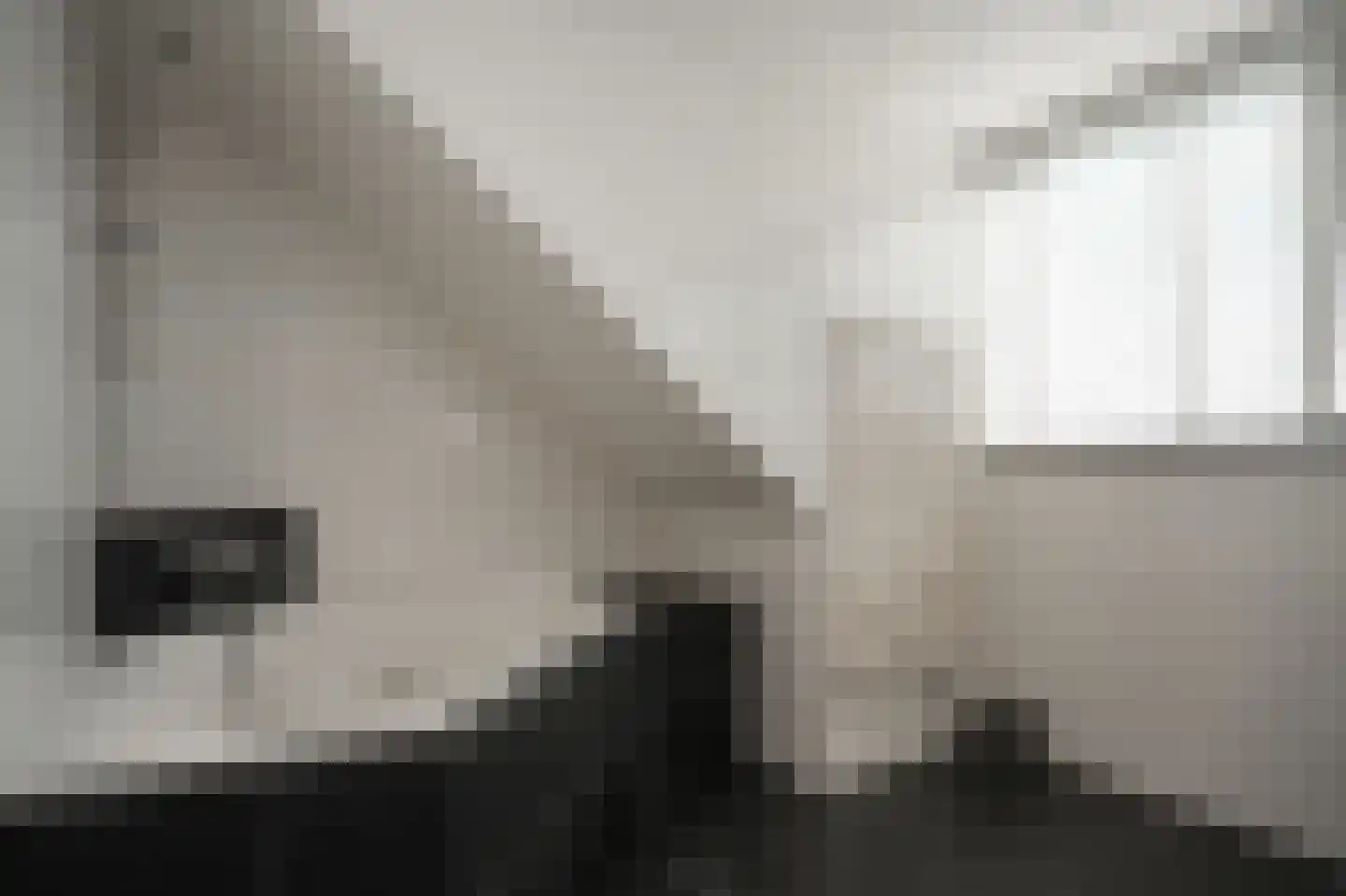 Beemstraat 9 Nieuwaal thumbnail 35