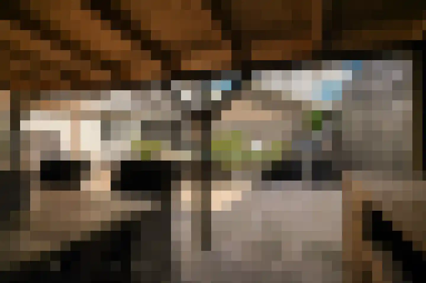 Beemstraat 9 Nieuwaal thumbnail 43