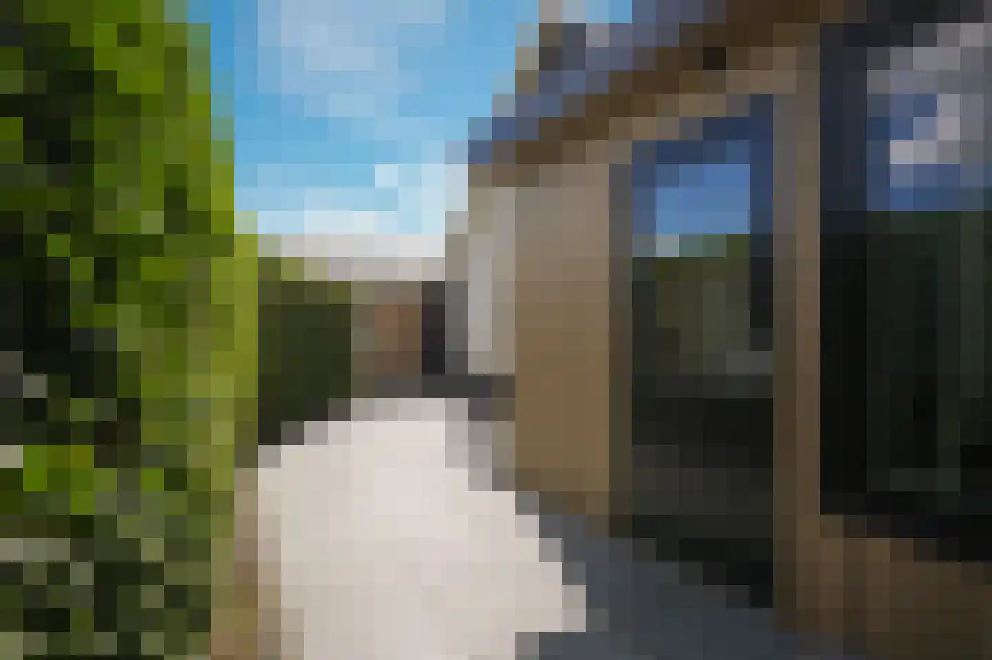Beemstraat 9 Nieuwaal thumbnail 48