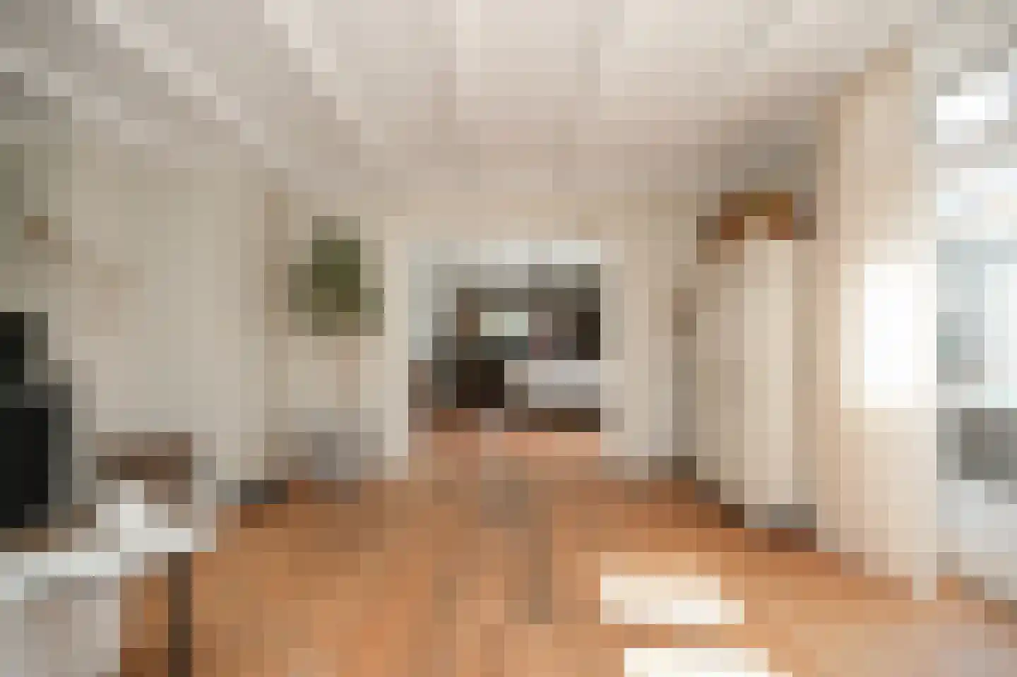 Beemstraat 9 Nieuwaal thumbnail 5