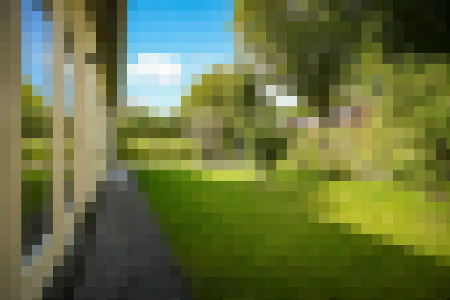 Beemstraat 9 Nieuwaal thumbnail 50