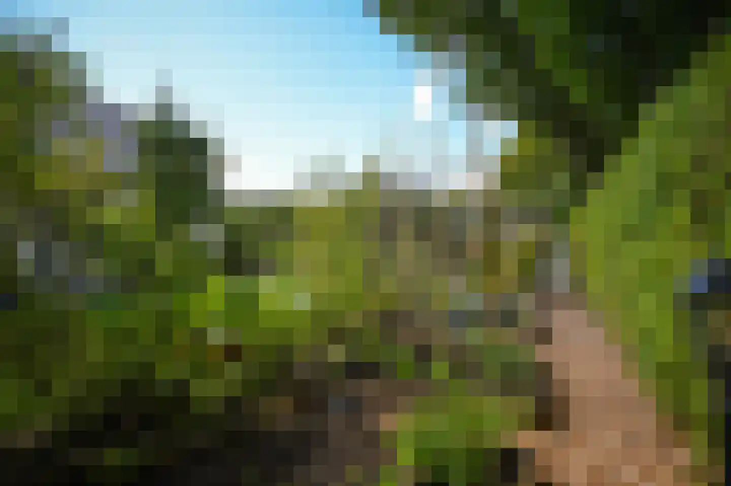 Beemstraat 9 Nieuwaal thumbnail 52