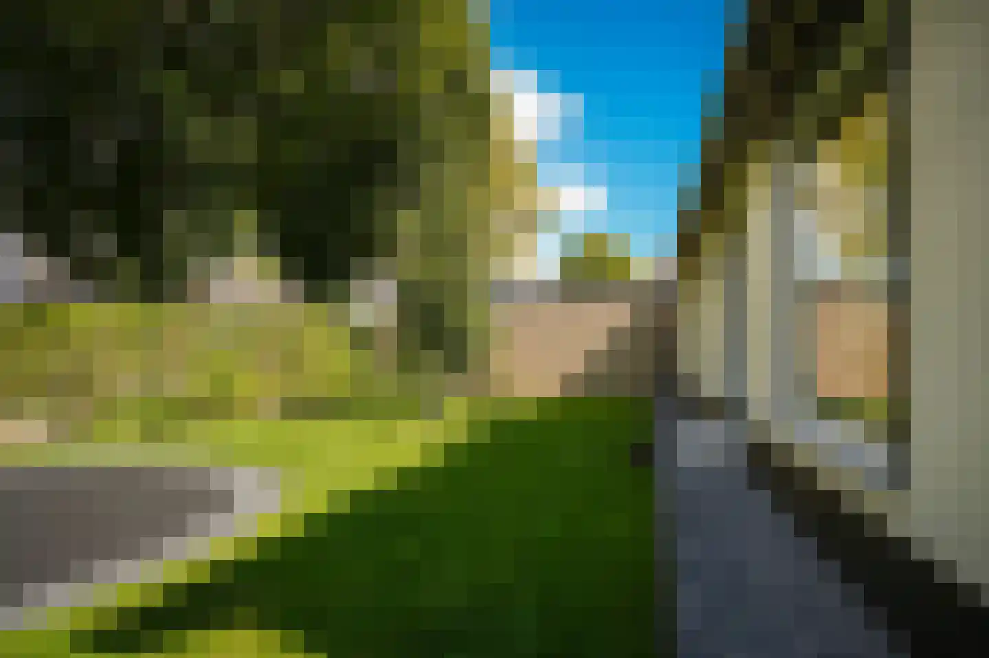 Beemstraat 9 Nieuwaal thumbnail 53