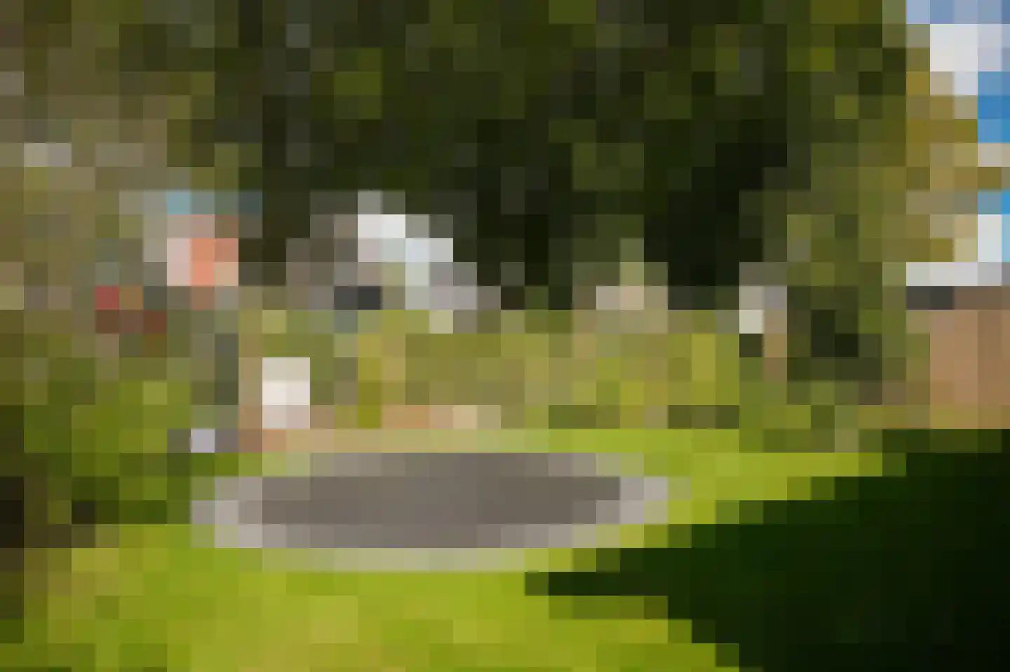 Beemstraat 9 Nieuwaal thumbnail 54