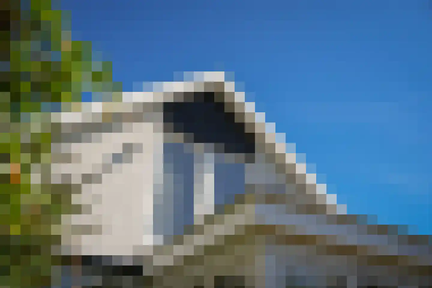 Beemstraat 9 Nieuwaal thumbnail 59
