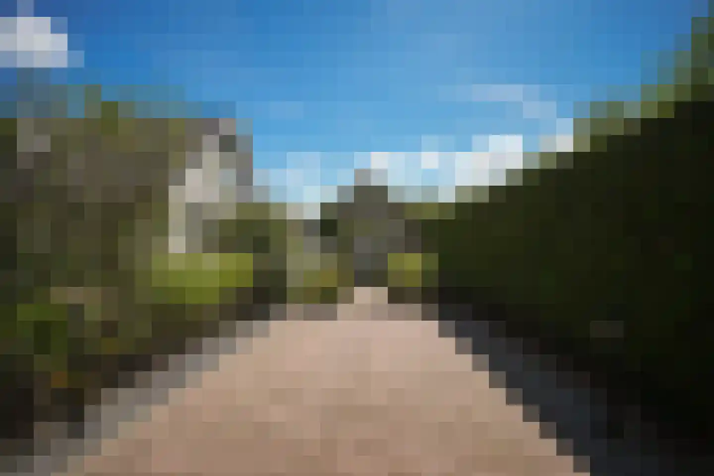 Beemstraat 9 Nieuwaal thumbnail 60