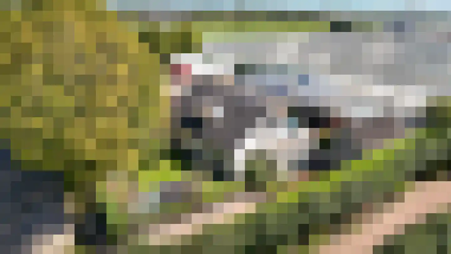 Beemstraat 9 Nieuwaal thumbnail 64