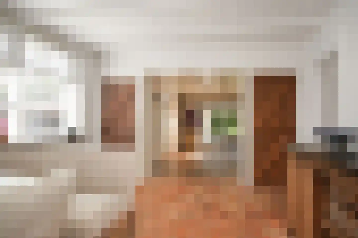 Beemstraat 9 Nieuwaal thumbnail 8