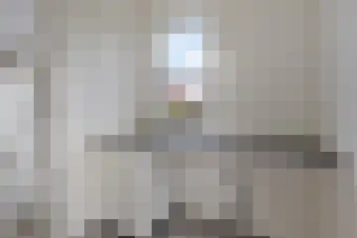 Beenekussteeg 3 Mariënvelde thumbnail 17