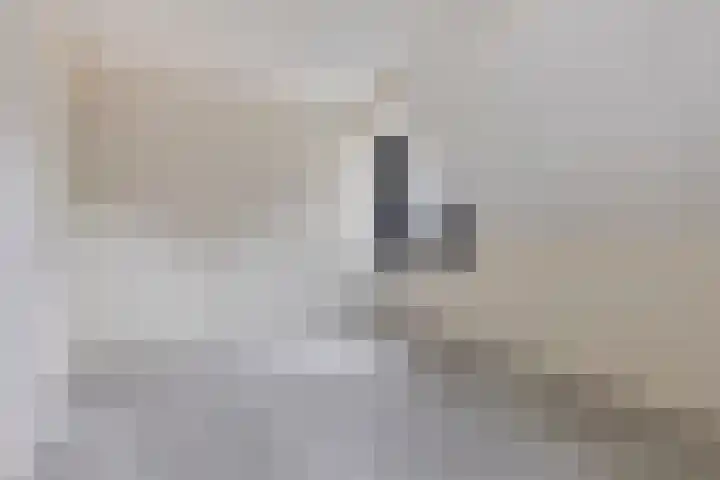 Beenekussteeg 3 Mariënvelde thumbnail 22