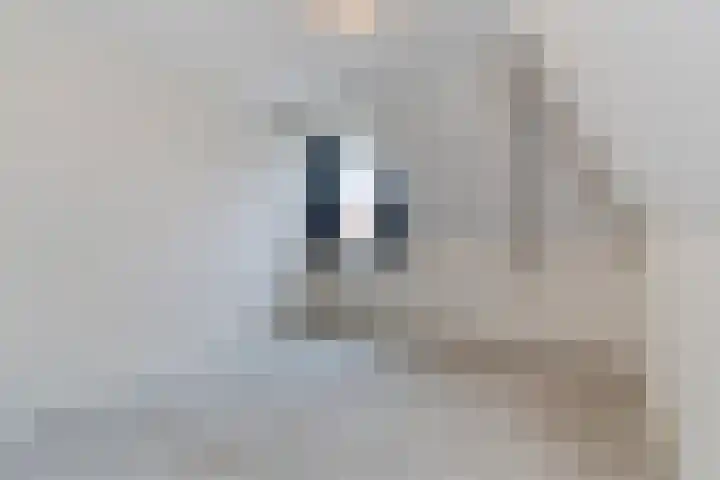 Beenekussteeg 3 Mariënvelde thumbnail 27