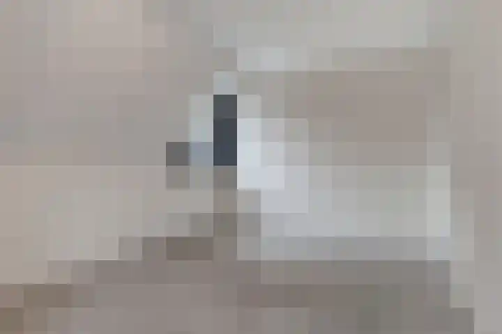 Beenekussteeg 3 Mariënvelde thumbnail 28