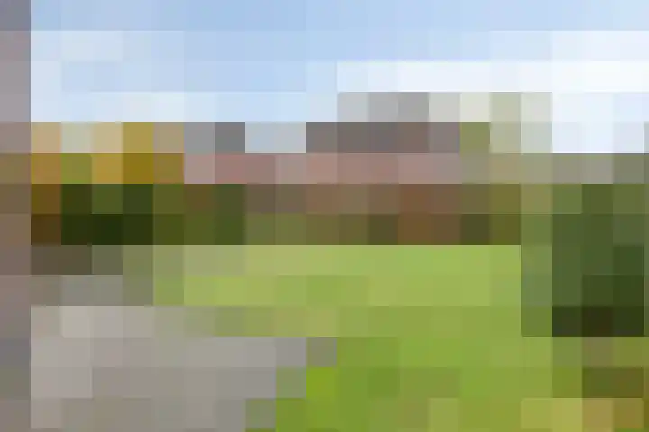 Beenekussteeg 3 Mariënvelde thumbnail 36