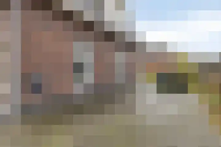 Beenekussteeg 3 Mariënvelde thumbnail 37