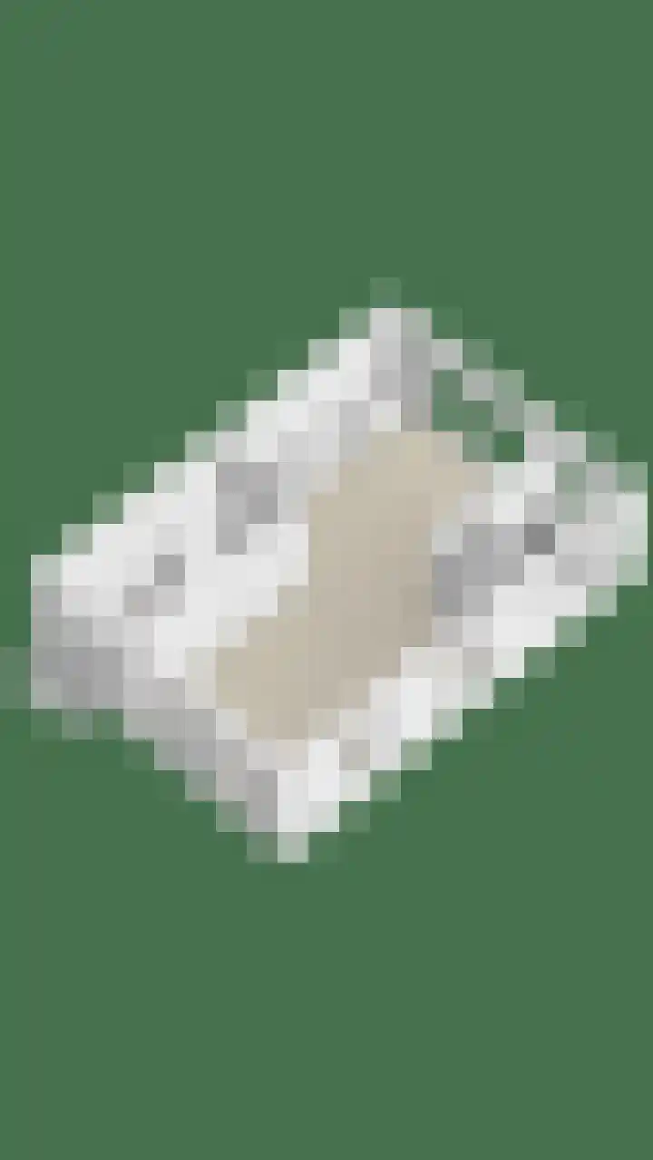 Beenekussteeg 3 Mariënvelde thumbnail 40