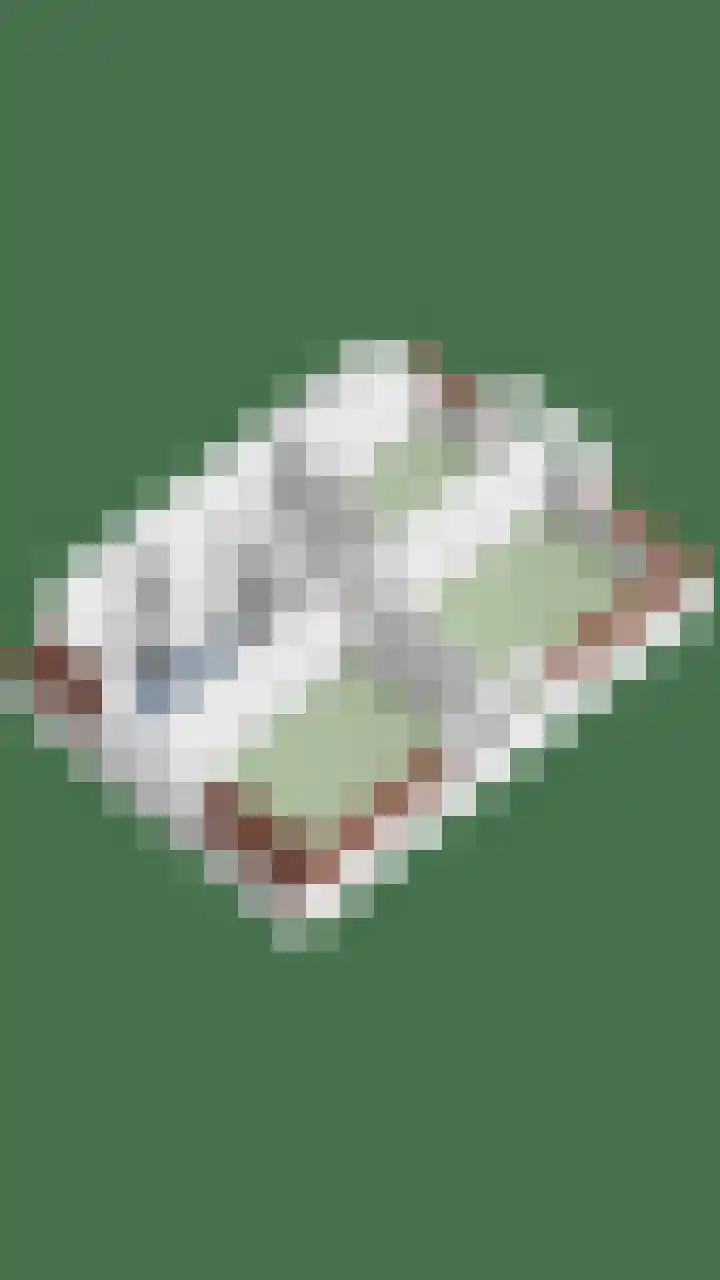 Beenekussteeg 3 Mariënvelde thumbnail 42