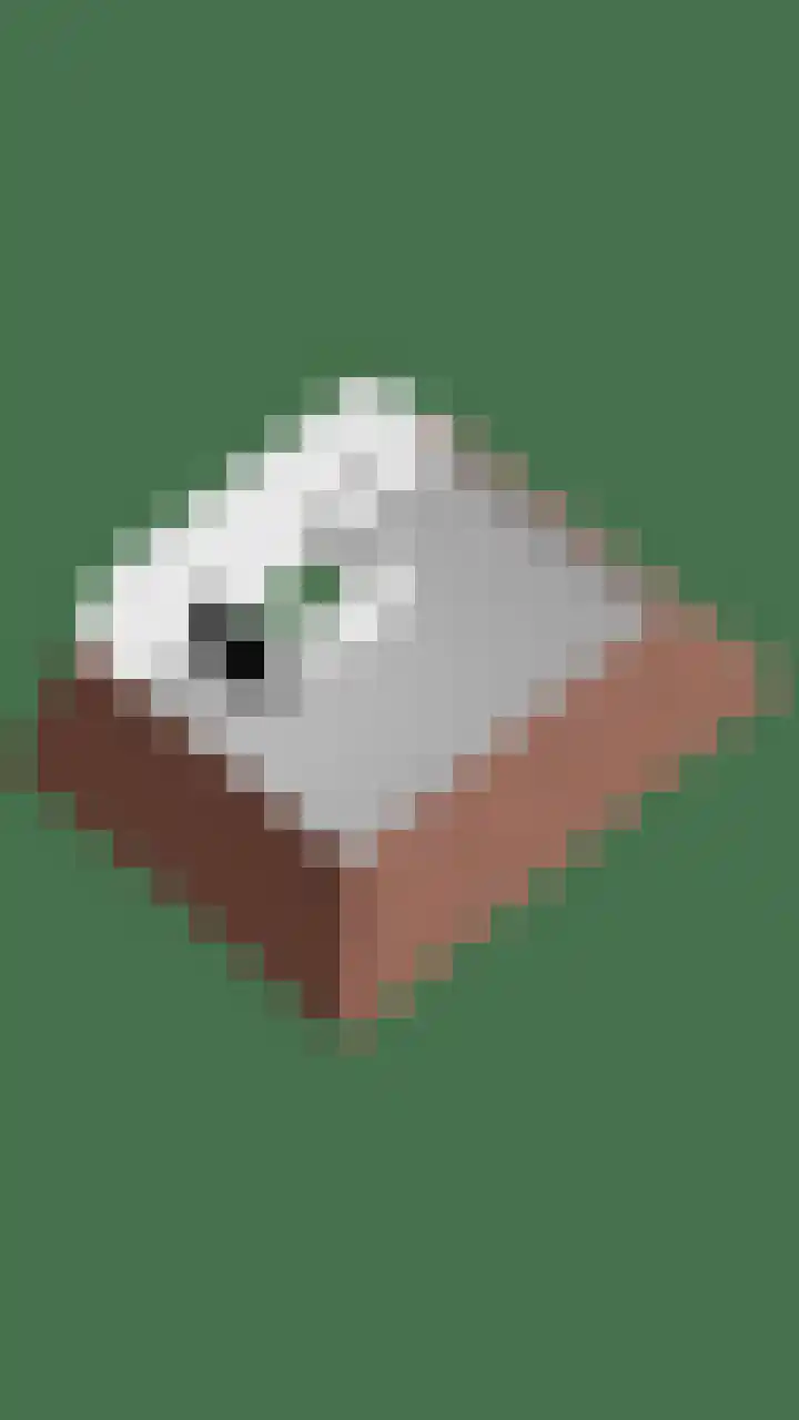Beenekussteeg 3 Mariënvelde thumbnail 44