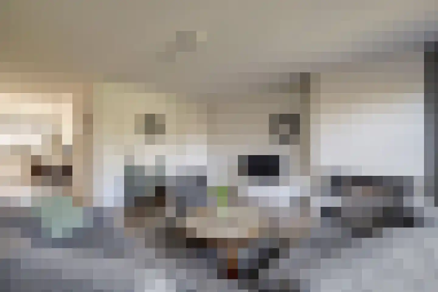 Beenhouwersplein 5 Oeffelt thumbnail 16