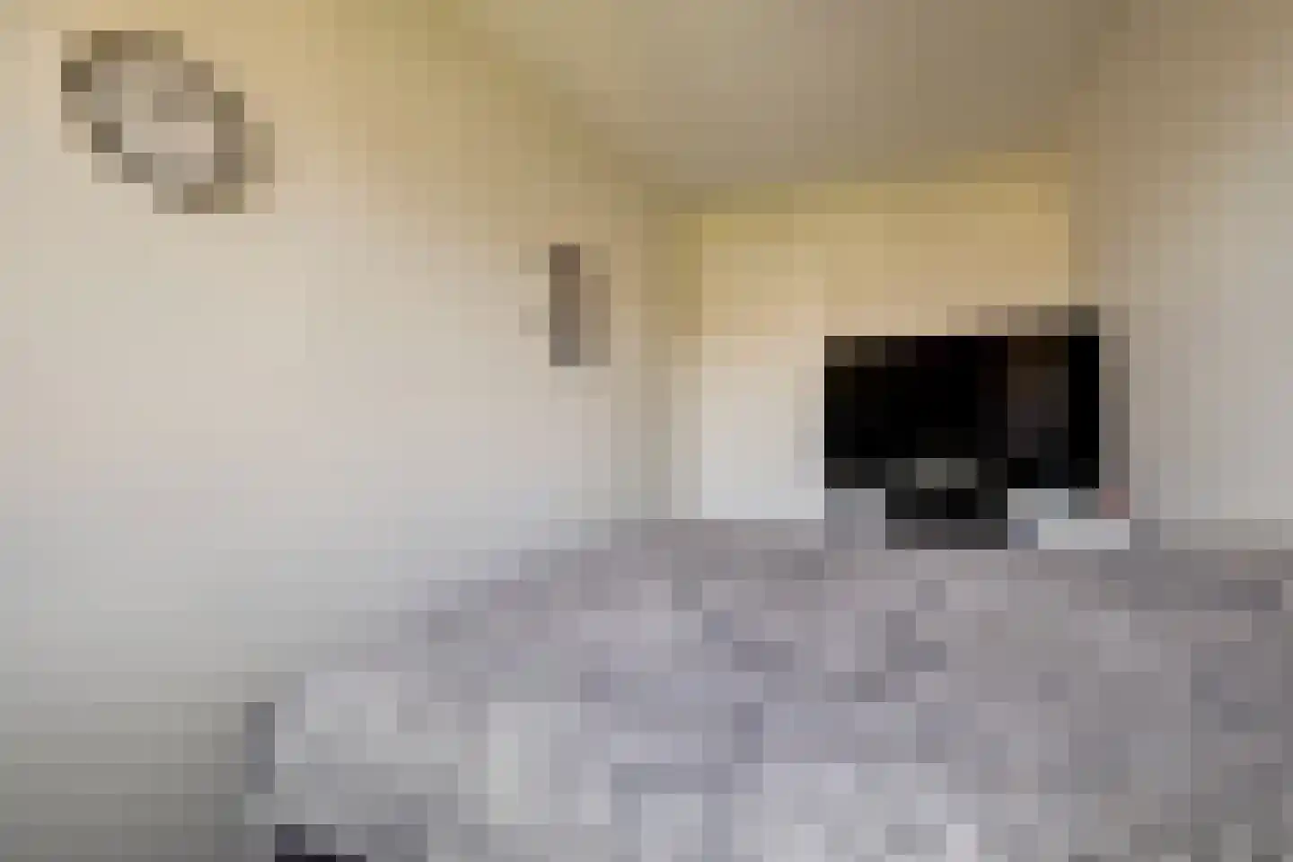Beenhouwersplein 5 Oeffelt thumbnail 33