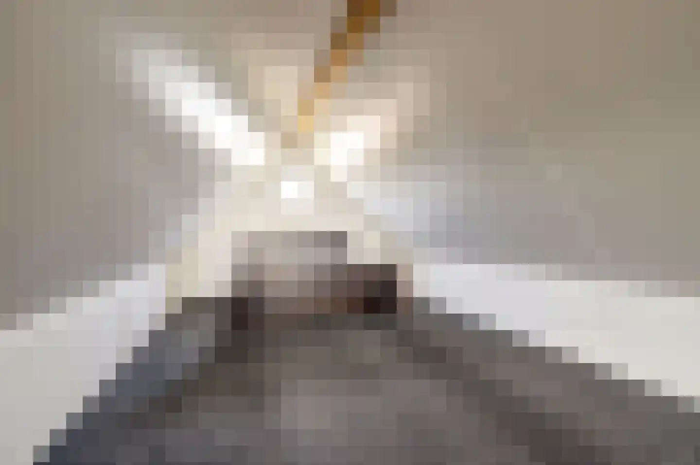 Beenhouwersplein 5 Oeffelt thumbnail 35