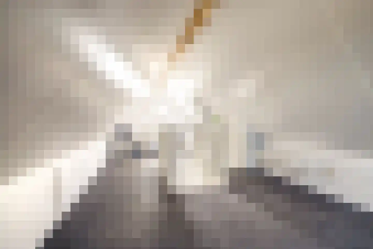 Beenhouwersplein 5 Oeffelt thumbnail 36