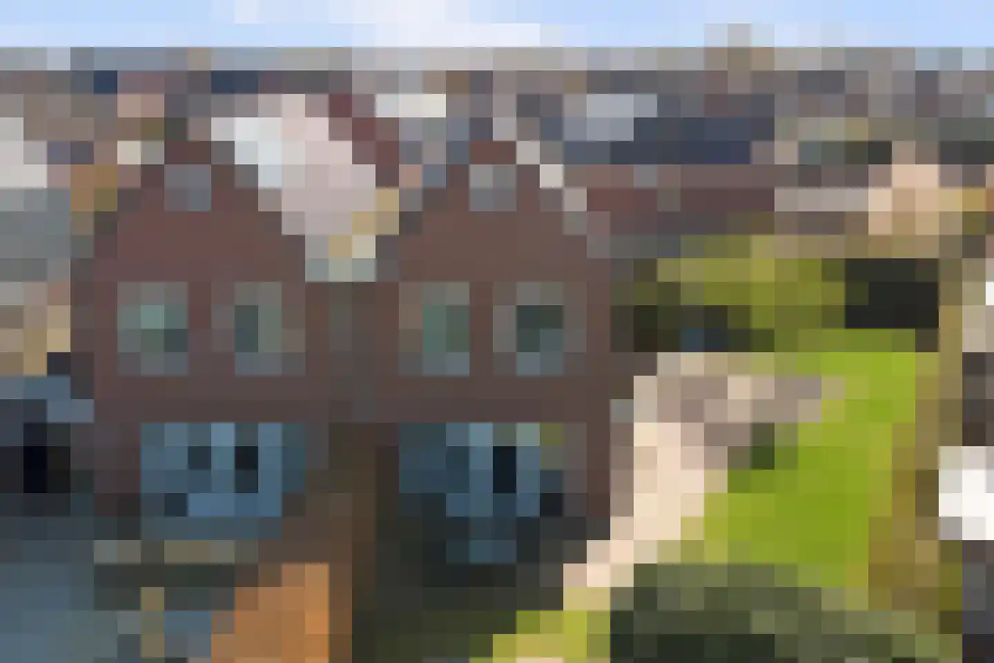Beenhouwersplein 5 Oeffelt thumbnail 45