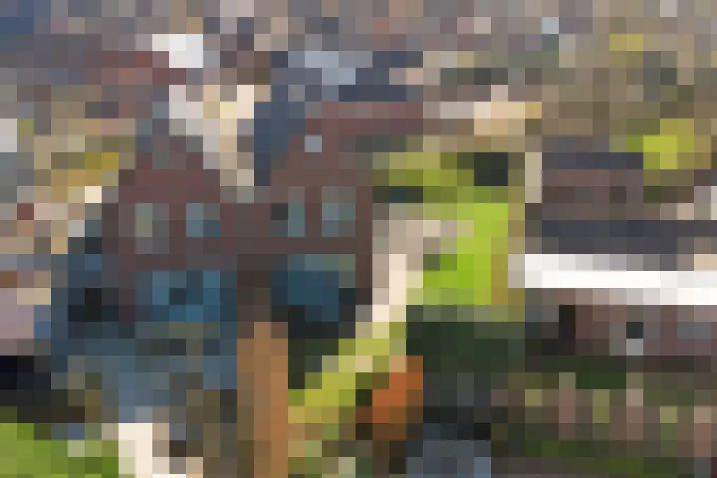 Beenhouwersplein 5 Oeffelt thumbnail 46