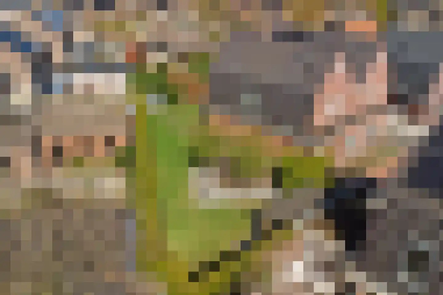 Beenhouwersplein 5 Oeffelt thumbnail 47