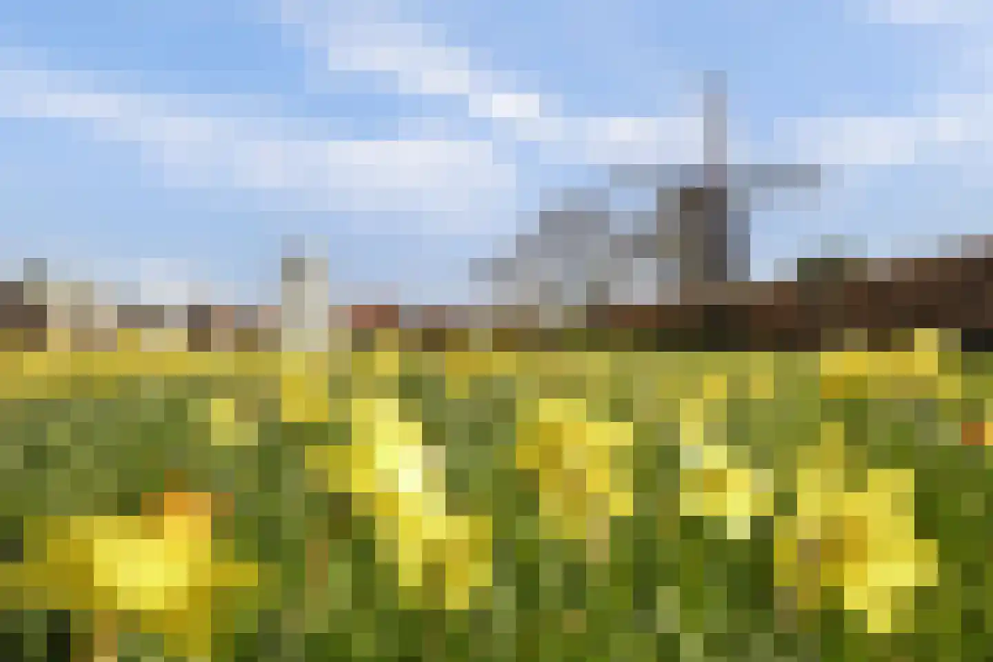 Beenhouwersplein 5 Oeffelt thumbnail 51