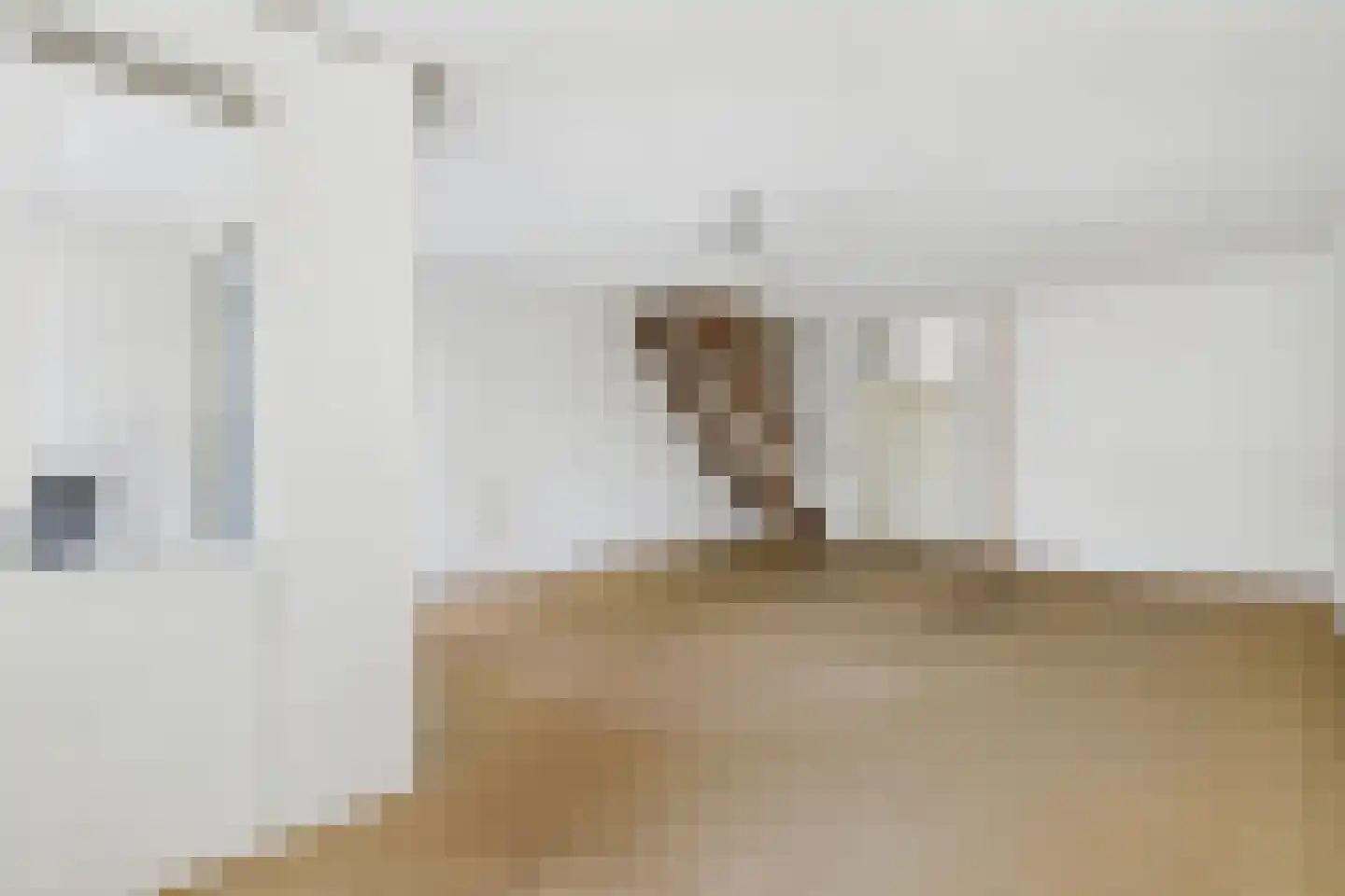 Beenhouwerssingel 10 Middelburg thumbnail 13