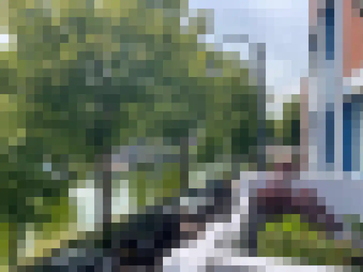 Beenhouwerssingel 10 Middelburg thumbnail 31