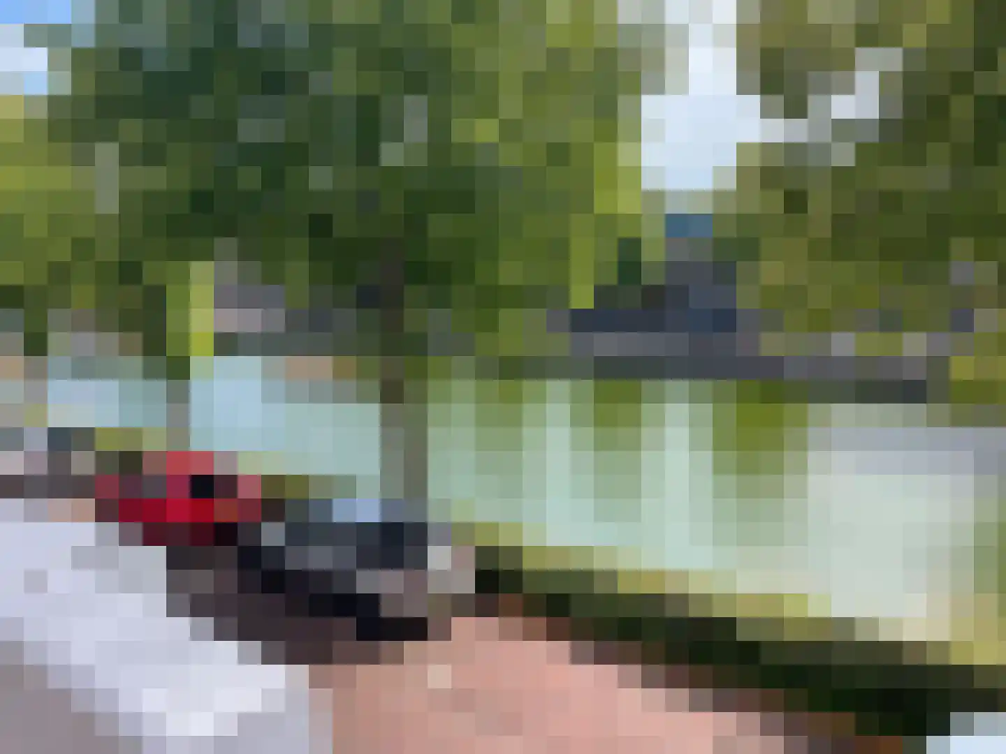 Beenhouwerssingel 10 Middelburg thumbnail 32