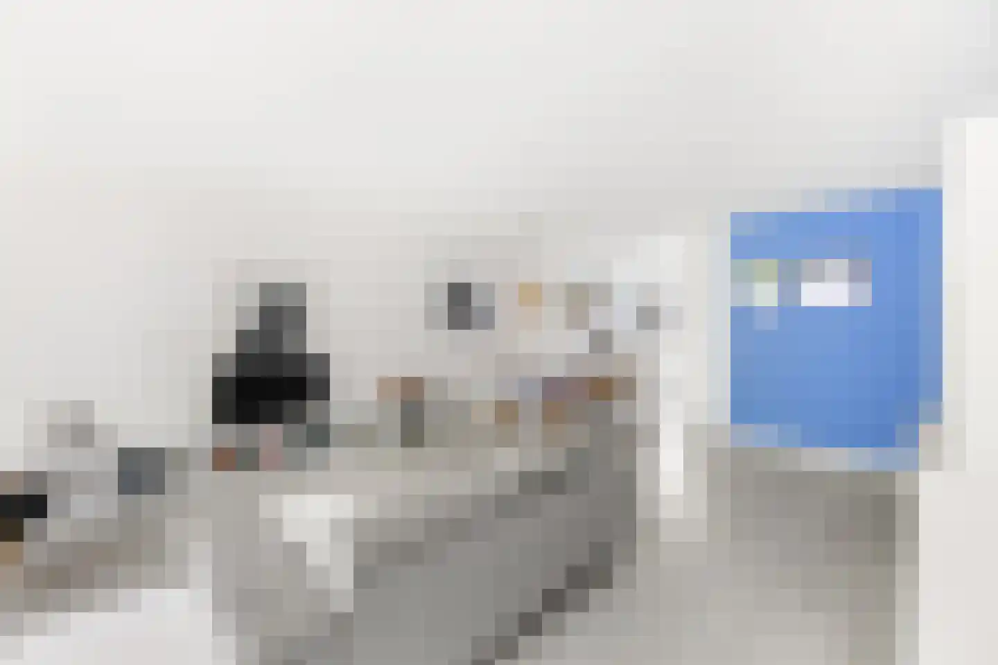 Beenhouwerssingel 28 Middelburg thumbnail 15