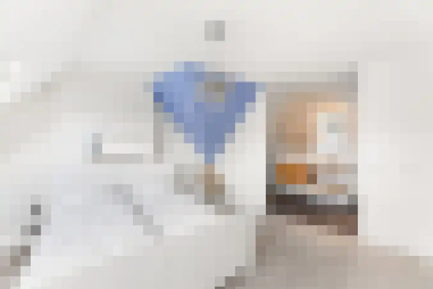 Beenhouwerssingel 28 Middelburg thumbnail 23