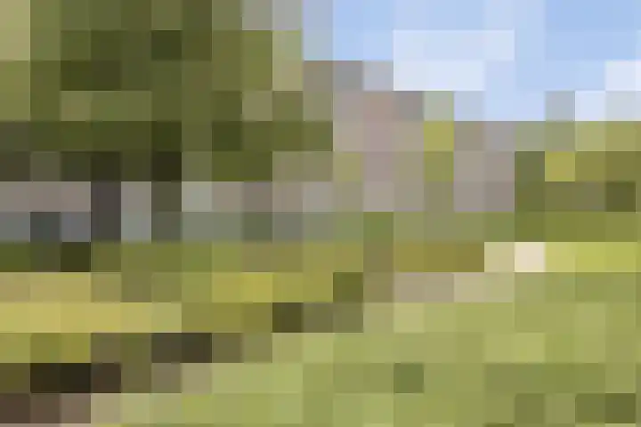 Beeningerstraat 49 A Rotterdam thumbnail 23