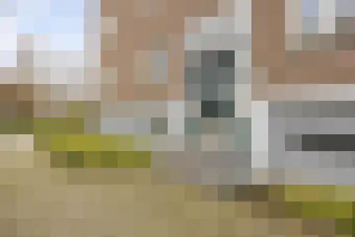 Beeningerstraat 55 A Rotterdam thumbnail 19