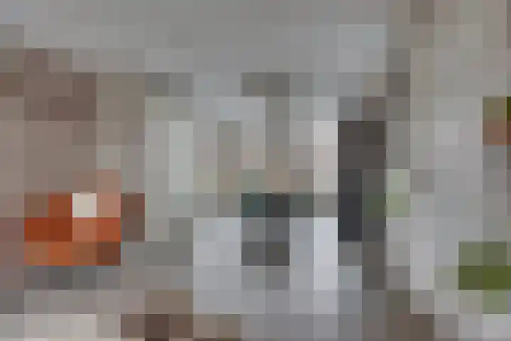 Beentjesgravenland 17 Nieuwleusen thumbnail 10