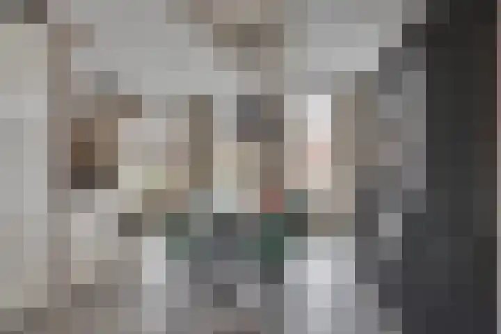 Beentjesgravenland 17 Nieuwleusen thumbnail 11