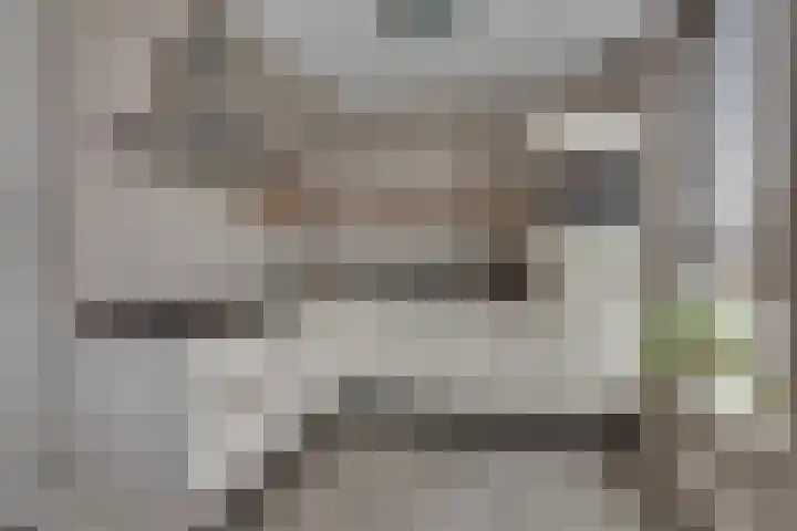 Beentjesgravenland 17 Nieuwleusen thumbnail 12