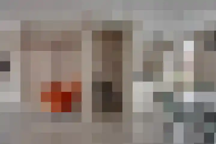 Beentjesgravenland 17 Nieuwleusen thumbnail 13