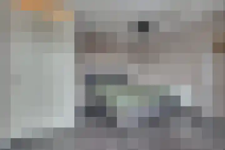 Beentjesgravenland 17 Nieuwleusen thumbnail 14