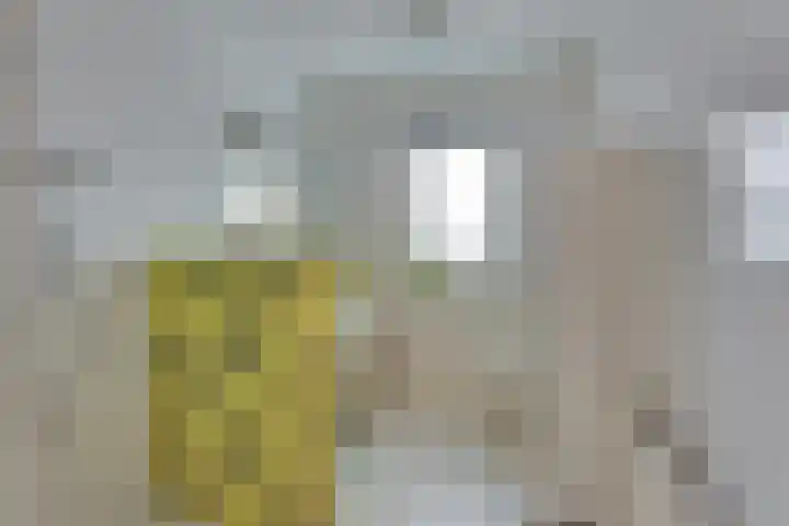 Beentjesgravenland 17 Nieuwleusen thumbnail 16