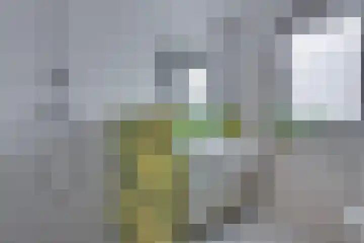 Beentjesgravenland 17 Nieuwleusen thumbnail 17