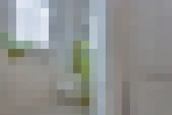 Beentjesgravenland 17 Nieuwleusen thumbnail 18