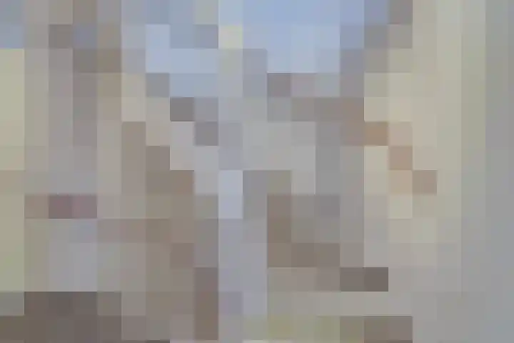 Beentjesgravenland 17 Nieuwleusen thumbnail 21