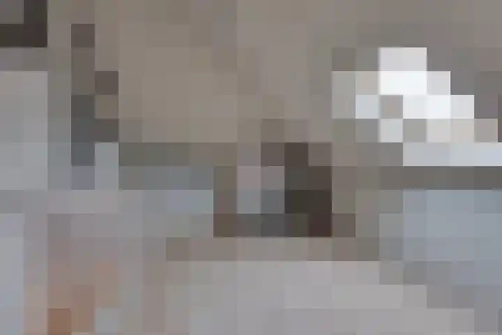 Beentjesgravenland 17 Nieuwleusen thumbnail 22