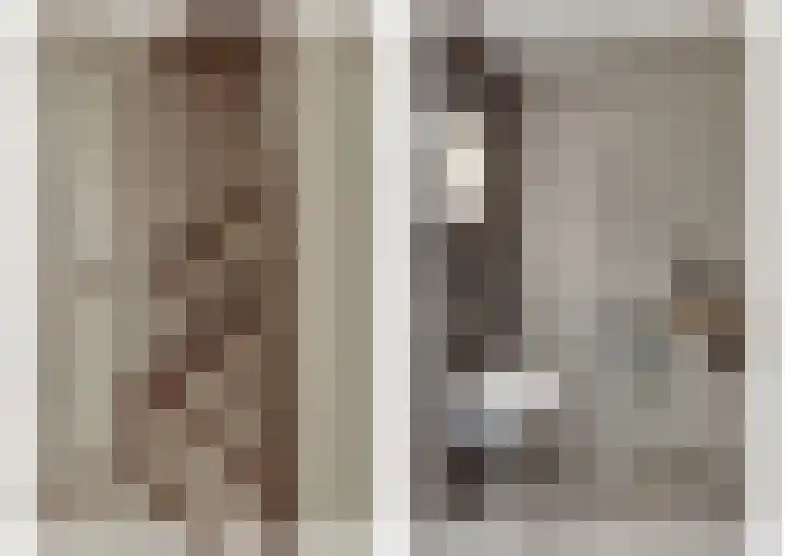 Beentjesgravenland 17 Nieuwleusen thumbnail 23